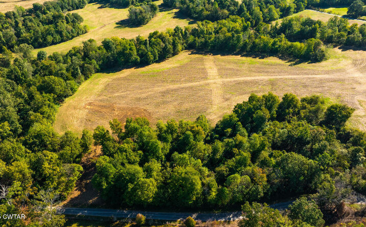 Pictures of Land property located at Tract 7 Hearn Road, Greenfield, TN 38230 for sales - image #1