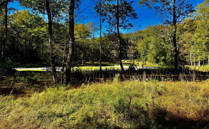 Pictures of Land, Multifamily property located at 86 Falling Waters Drive, Palenville, NY 12463 for sales - image #1