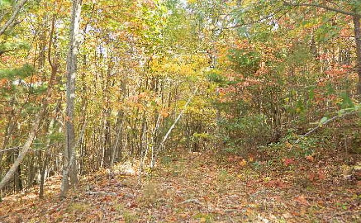 Pictures of Land, Multifamily property located at TBD Granite Lane, Chilhowie, VA 24319 for sales - image #1