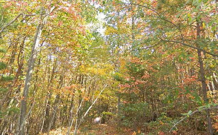 Pictures of Land, Multifamily property located at TBD Granite Lane, Chilhowie, VA 24319 for sales - image #1