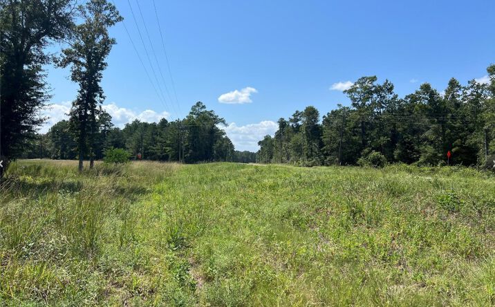Pictures of Land property located at TBD 3 3152, Livingtson, TX 77351 for sales - image #1