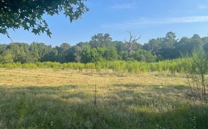 Pictures of Land property located at 940 Bill Jones Rd, Groveton, TX 75845 for sales - image #1