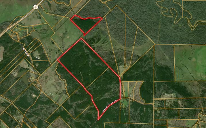 Pictures of Land property located at Fenley Flat Rd Pollok, TX, Pollok, TX 75969 for sales - image #1
