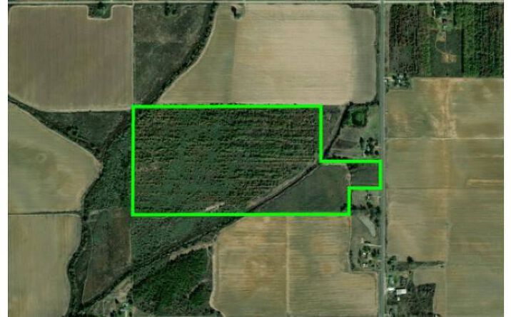 Pictures of Land property located at 0000 HWY 183, HOLLY RIDGE, LA 71269 for sales - image #1