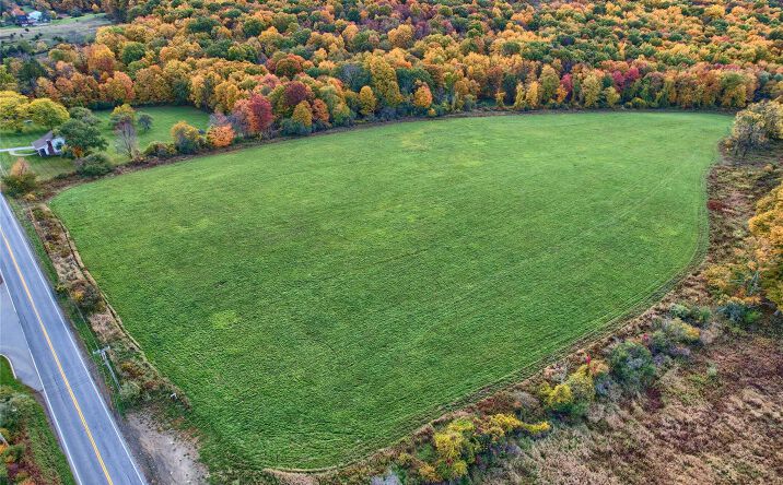 Pictures of Land property located at 1830 BRUZGUL Road, Union Vale, NY 12540 for sales - image #1