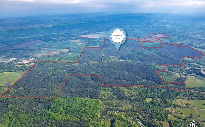 Pictures of Land property located at GA-48, Summerville, GA 30731 for sales - image #1