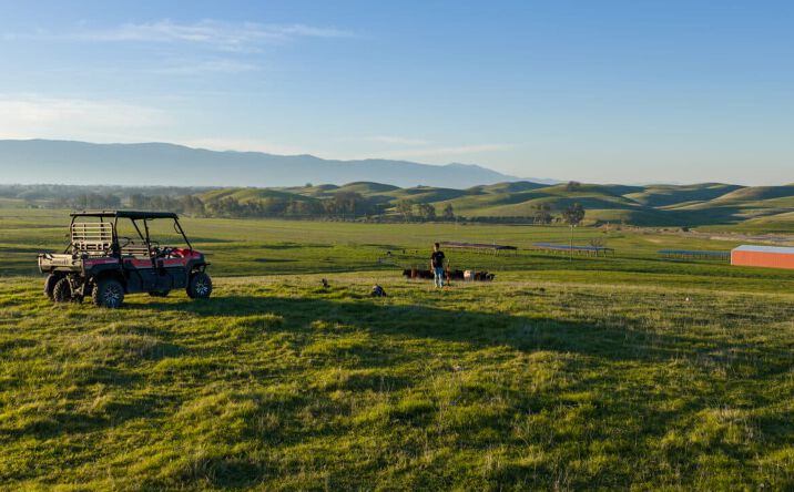 Pictures of Land property located at 17775 Long Hollow Road, Corning, CA 96021 for sales - image #1