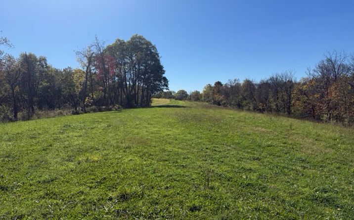 Pictures of Land property located at Carol Ann Ln, Independence, KY 41051 for sales - image #1