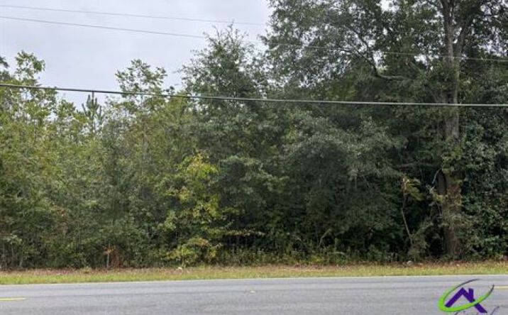 Pictures of Land property located at Taylors Mill Road, Fort Valley, GA 31030 for sales - image #1
