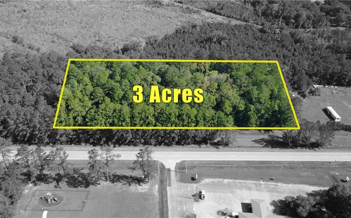 Pictures of Land property located at 1347 Ga-57, Townsend, GA 31331 for sales - image #1