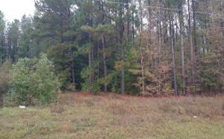 Pictures of Land, Hospitality, Industrial, Office, Retail property located at 0 Gresham Road, Keysville, GA 30816 for sales - image #1