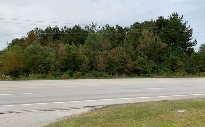 Pictures of Land property located at 1005 S Margaret Ave, Kirbyville, TX 75956 for sales - image #1
