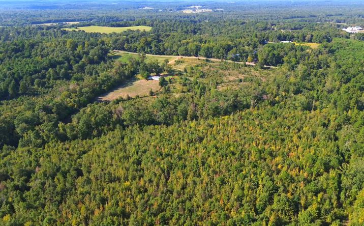 Pictures of Land property located at 697 Airlite, Marshall, TX 75670 for sales - image #1