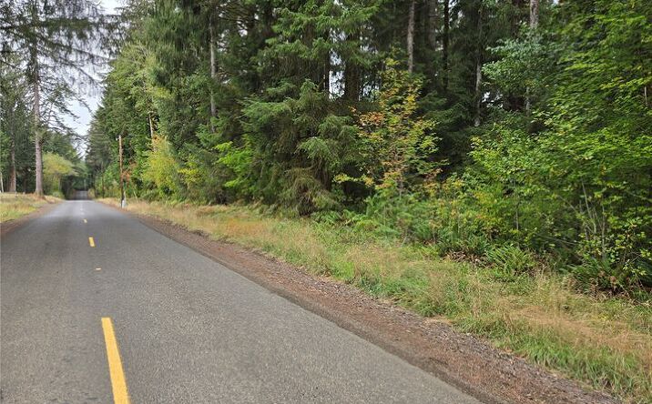 Pictures of Land property located at 0 Lund Rd, Cosmopolis, WA 98537 for sales - image #1