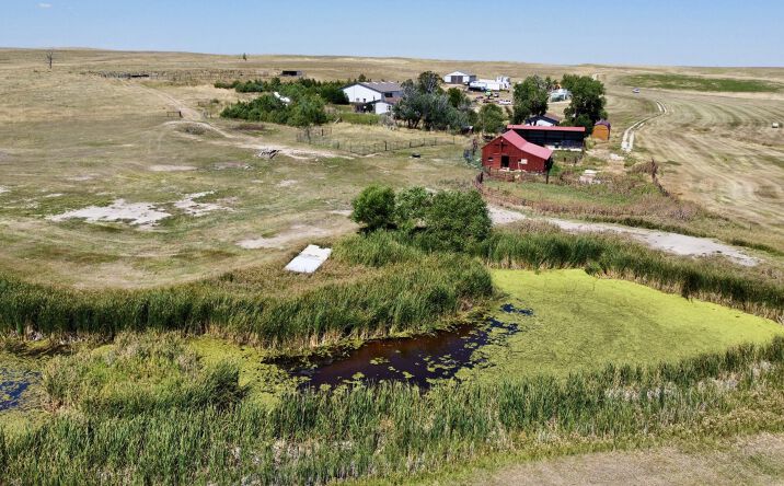 Pictures of Land property located at 20655 Co Rd 101, Ramah, CO 80832 for sales - image #1