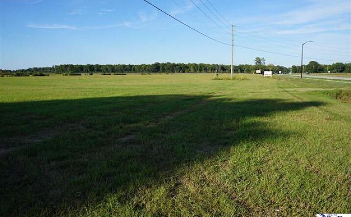 Pictures of Land property located at 1042 Sumter Hwy, Bishopville, SC 29010 for sales - image #1