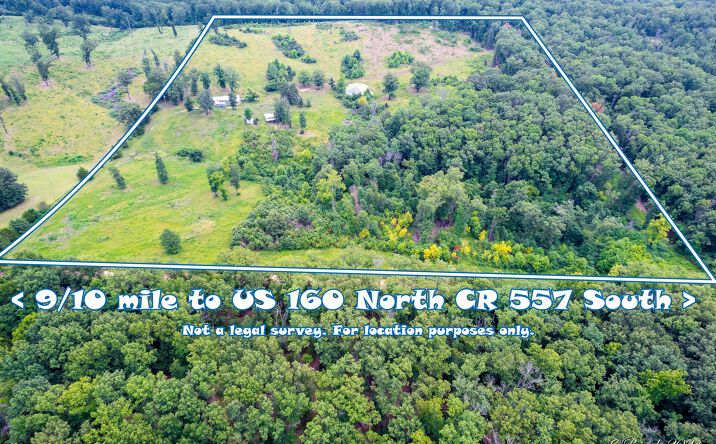 Pictures of Land property located at Tbd County Road 557, Caulfield, MO 65626 for sales - image #1