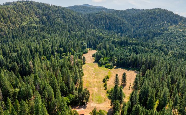 Pictures of Land property located at 00 Summit Lake Road, Big Bend, CA 96011 for sales - image #1