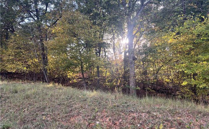 Pictures of Land property located at 8, Gravois Mills, MO 65037 for sales - image #1