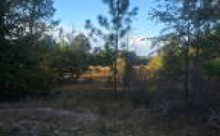 Pictures of Land property located at Tbd Hamilton Branch Way, Aiken, SC 29803 for sales - image #1
