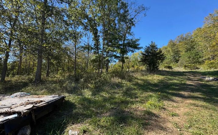 Pictures of Land property located at Robinson Hollow Road, Liberty Twp, OH 45693 for sales - image #1