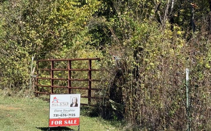Pictures of Land property located at 1380 Cleve Duke Road, Hornbeak, TN 38232 for sales - image #1