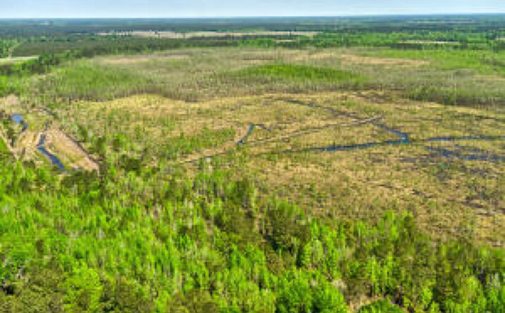 Pictures of Land, Multifamily, Special Purpose property located at Tbd Alligator Rd, Olar, SC 29843 for sales - image #1
