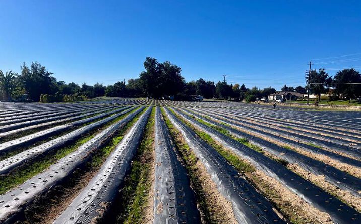 Pictures of Land property located at 7314 Santa Juanita Avenue, Orangevale, CA 95662 for sales - image #1