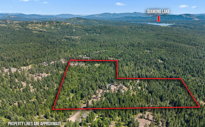 Pictures of Land property located at 1022 Spring Hill Rd, Newport, WA 99156 for sales - image #1