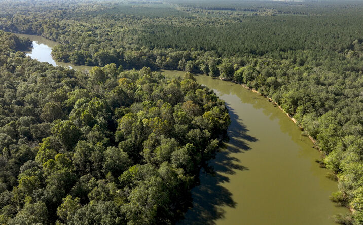 Pictures of Land property located at Abbeville Hwy, Rhine, GA 31077 for sales - image #1