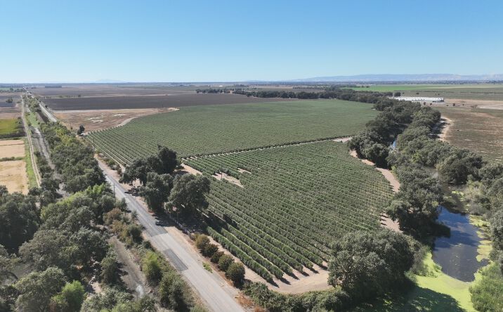 Pictures of Land property located at 20456 Co Rd 103, Woodland, CA 95776 for sales - image #1