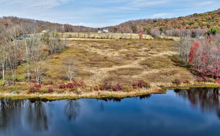 Pictures of Land property located at TBD Meadow Lane, Fremont, NY 12736 for sales - image #1