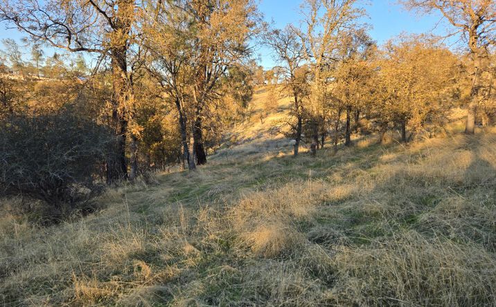 Pictures of Land property located at 0 avacado road, Bangor, CA 95914 for sales - image #1