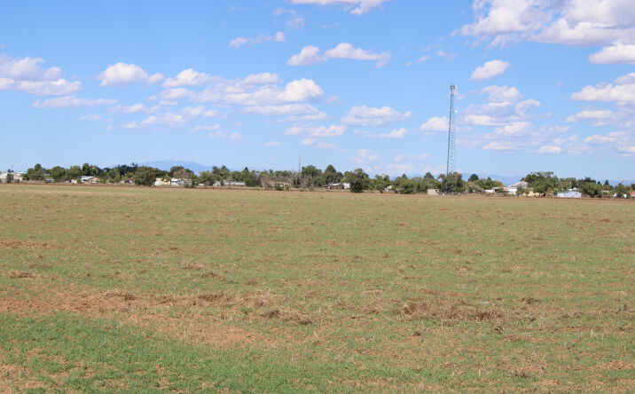 Pictures of Land property located at TBD Martinez Rd, Moriarty, NM 87035 for sales - image #1