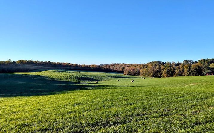 Pictures of Land property located at TBD Daniels Run Rd, Check, VA 24072 for sales - image #1