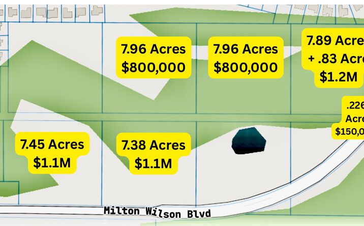 Pictures of Hospitality, Land, Mixed Use, Office, Retail property located at Milton Wilson Dr, Arlington, TN 38002 for sales - image #1