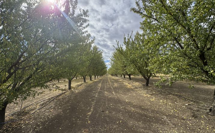 Pictures of Land property located at 28815 Co Rd 12A, Esparto, CA 95627 for sales - image #1