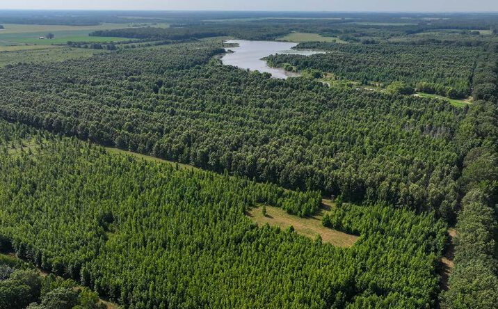 Pictures of Land property located at Pickthorne Road via Arkansas State Highway 86, Hazen, AR 72064 for sales - image #1