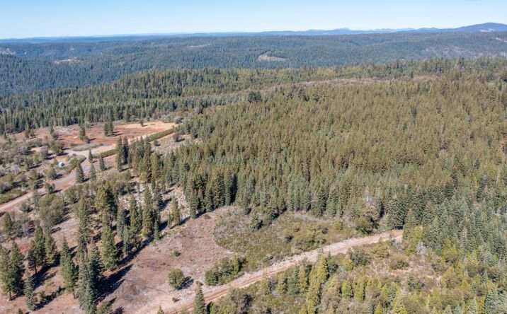 Pictures of Land property located at Kearsarge Mill Rd, Alta, CA 95701 for sales - image #1