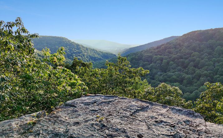 Pictures of Land property located at 354 Little Trees Ramble, Monteagle, TN 37356 for sales - image #1