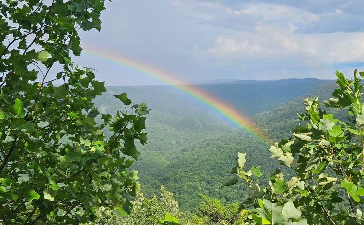 Pictures of Land property located at 0 Grassy Ridge Rd, Beersheba Springs, TN 37305 for sales - image #1