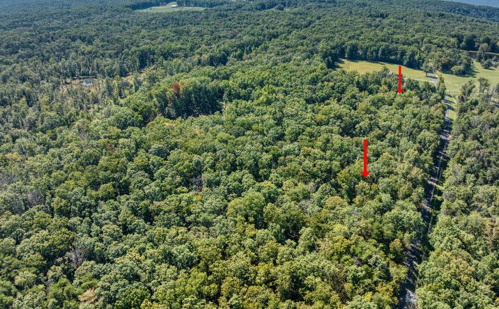 Pictures of Land property located at 0 Pigeon Springs Rd, Tracy City, TN 37387 for sales - image #1