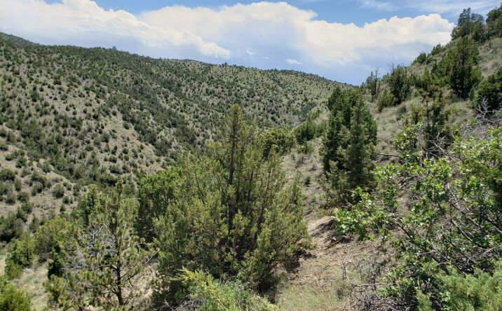 Pictures of Business for Sale property located at TBD Lombard Road, Toston, MT 59643 for sales - image #1