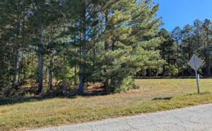 Pictures of Land, Mixed Use, Multifamily, Office, Industrial property located at Hwy 121, Trenton, SC 29847 for sales - image #1