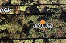 29649065