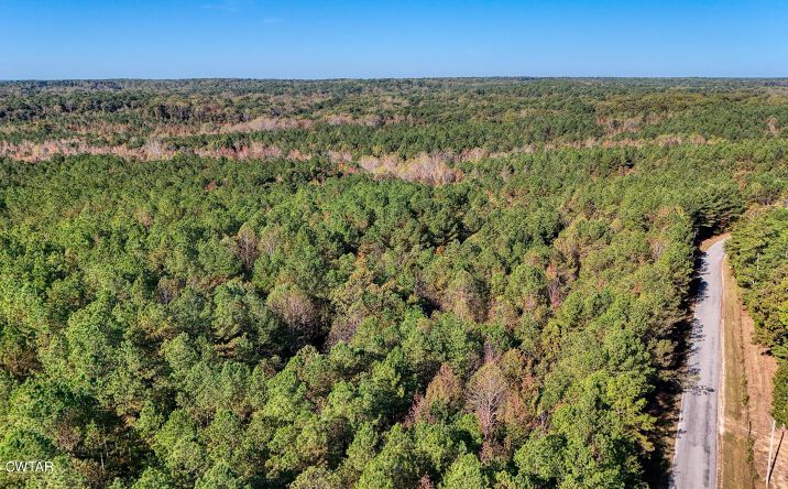 Pictures of Land, Multifamily property located at Cavia Road, Westport, TN 38387 for sales - image #1