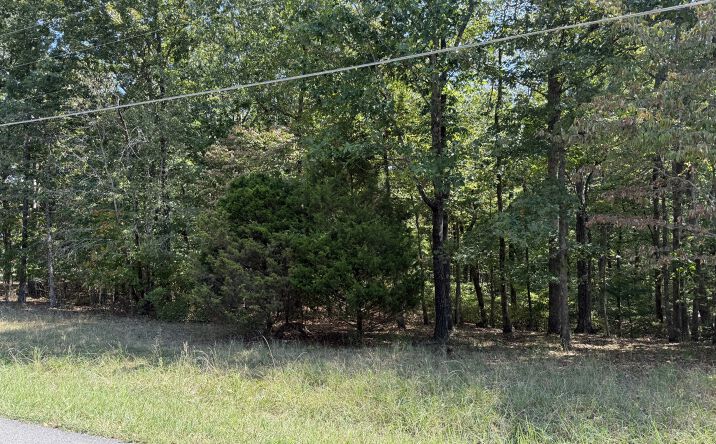 Pictures of Land property located at 0 Rouse Rd, Dickson, TN 37055 for sales - image #1
