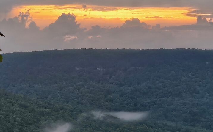 Pictures of Land property located at 0 Grassy Ridge Rd Lot 3, Beersheba Springs, TN 37305 for sales - image #1