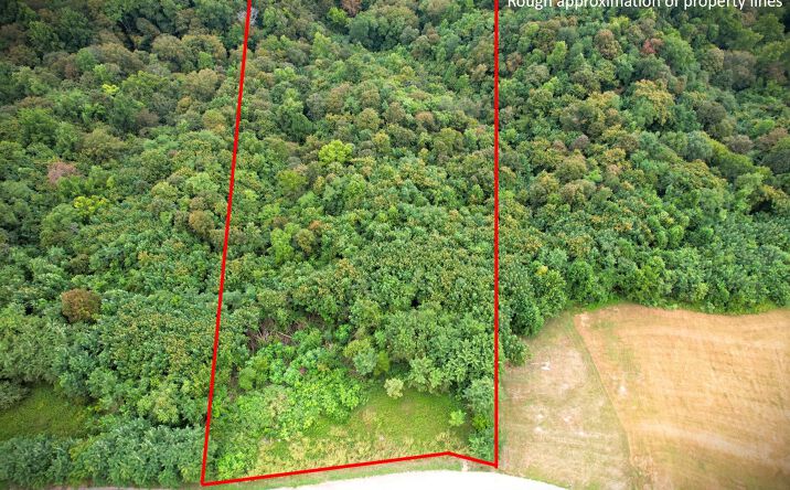 Pictures of Land property located at 0 Rockfish Rd, Hilham, TN 38568 for sales - image #1