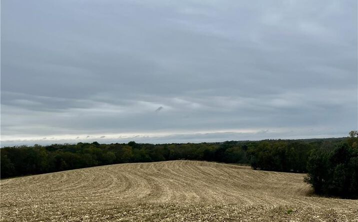 Tract 1 Country Road 422 Road, Amazonia, MO 64421 | Crexi.com